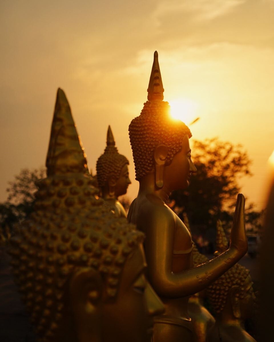 Experience Pakse’s history with guided tours